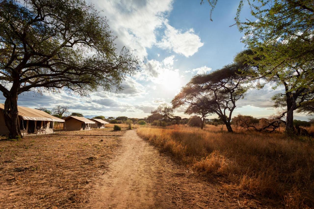 Baobab Tented Camp Kwa Kuchinia Экстерьер фото