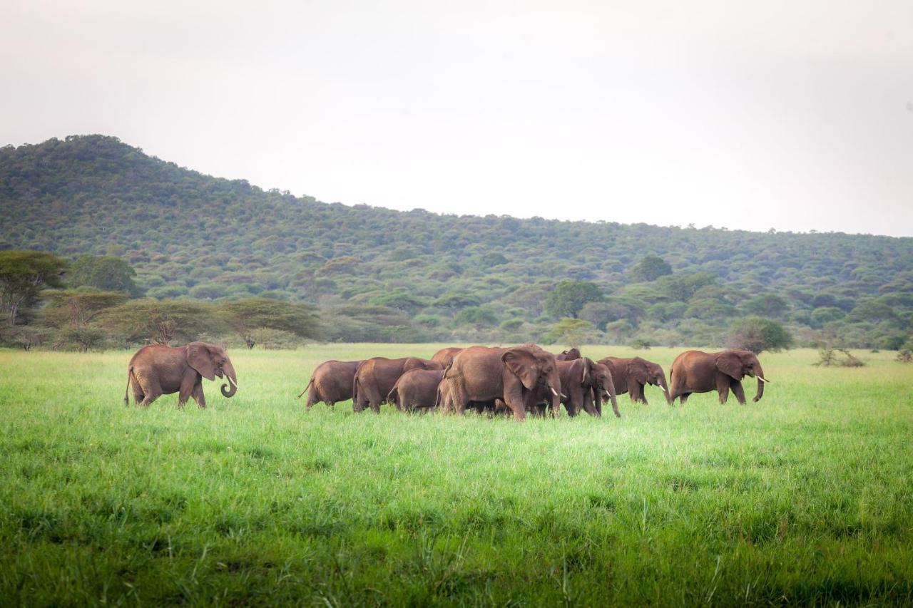 Baobab Tented Camp Kwa Kuchinia Экстерьер фото